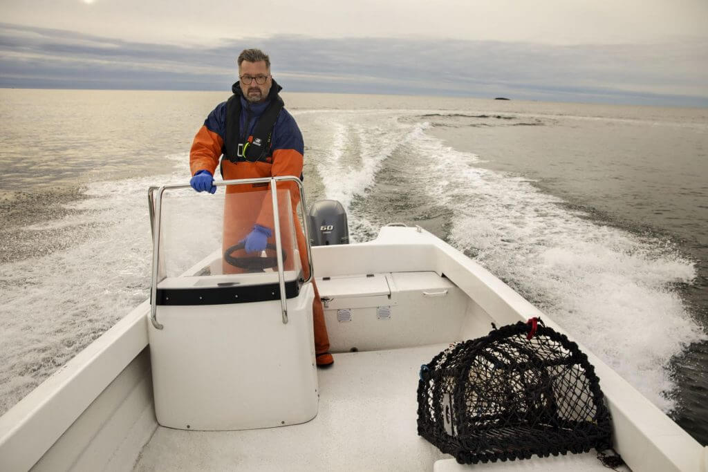 Cremo 550 Sc IL 6376 1024X683