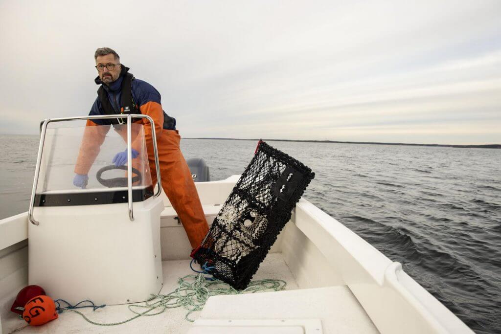 Cremo 550 Sc IL 6335 1024X683