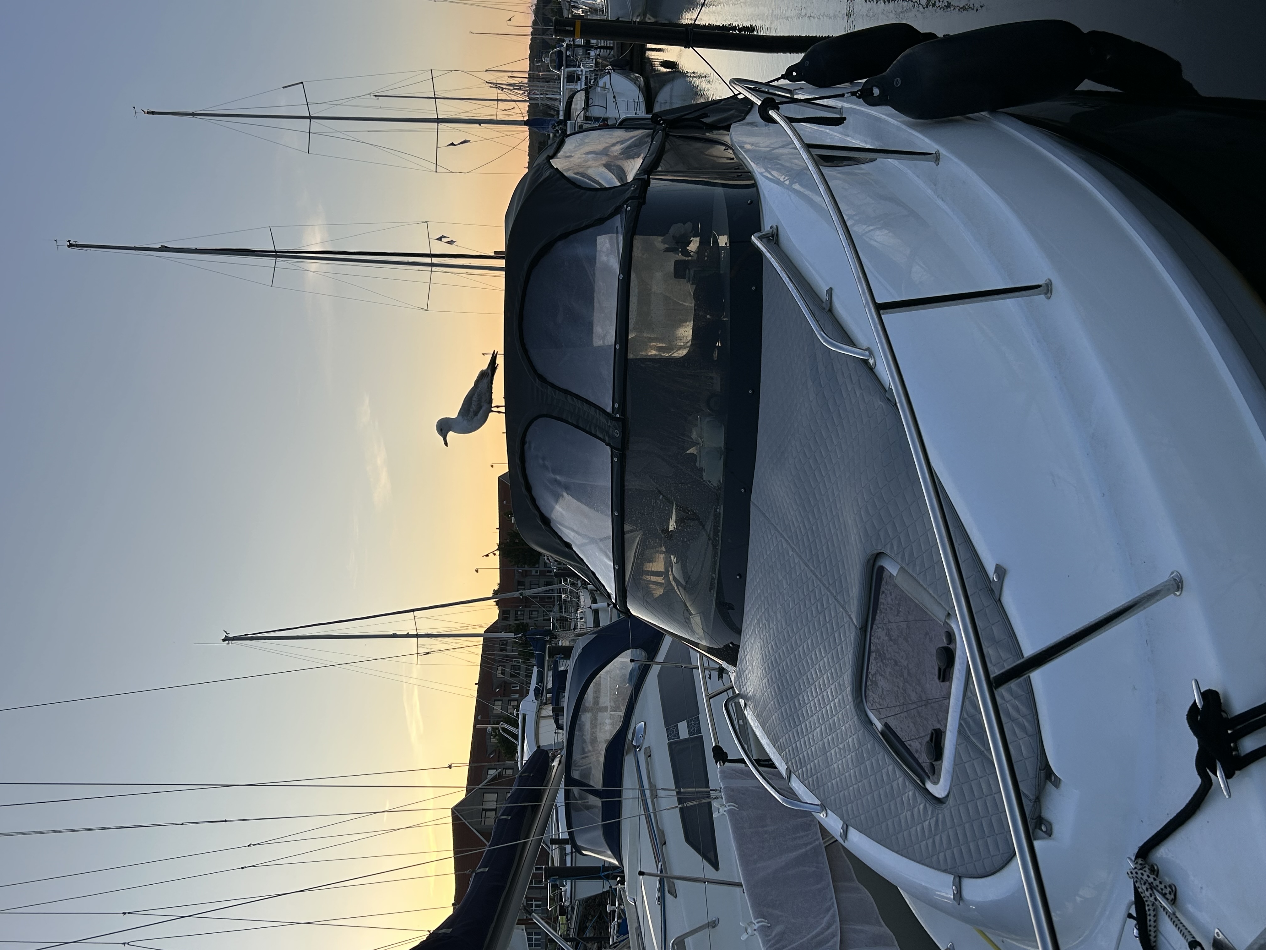 Image00034[1]